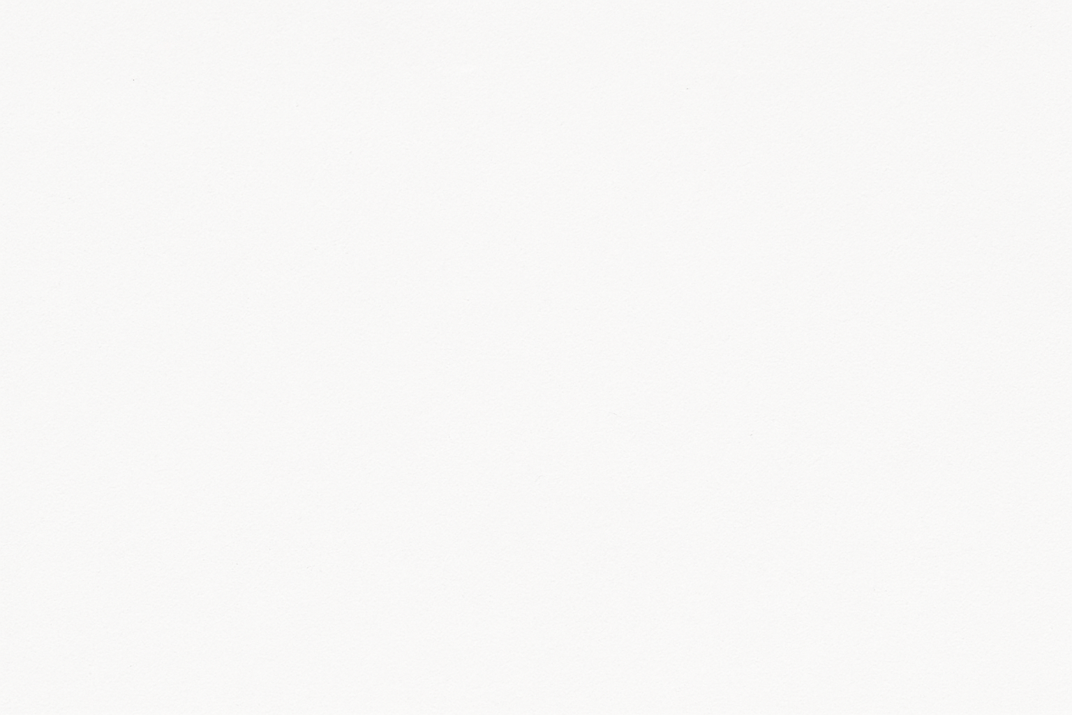 empty white image